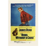 Rebel without a cause ! Petite et grande histoire des noms des types de personnalité du Process Communication Model®